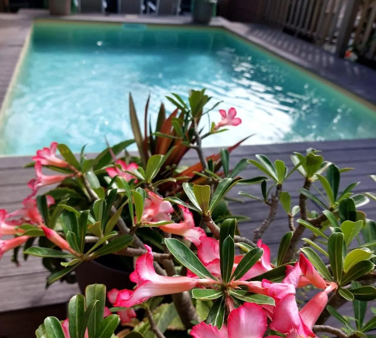 Apartmán Appartement Chaleureux Avec Piscine - Ideal Pour Couple Et Petite Famille- Saint-Francois